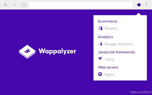 開源瀏覽器插件Wappalyzer 一鍵扒出網站背后使用的技術棧